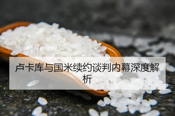 卢卡库与国米续约谈判内幕深度解析