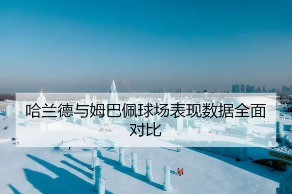 哈兰德与姆巴佩球场表现数据全面对比